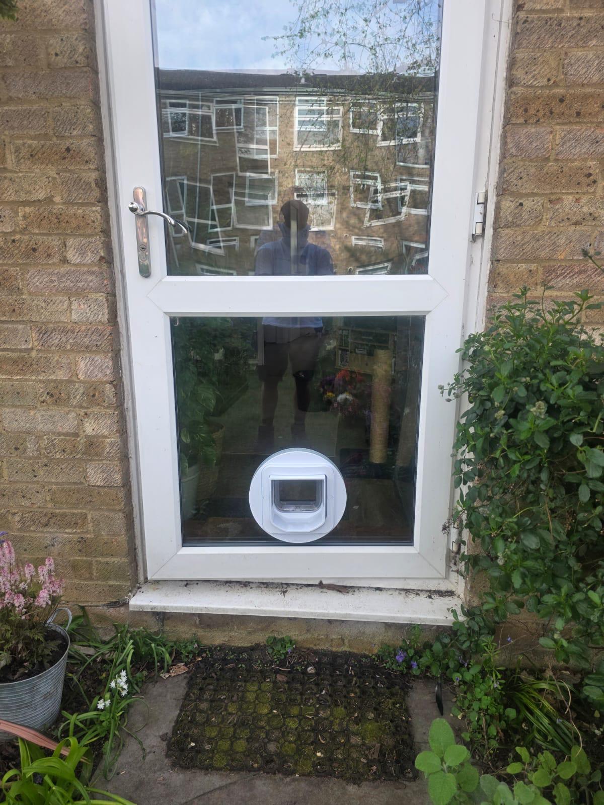 Catflap10