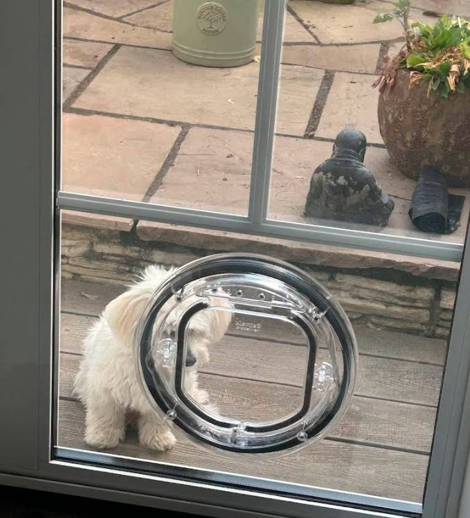 Catflap3