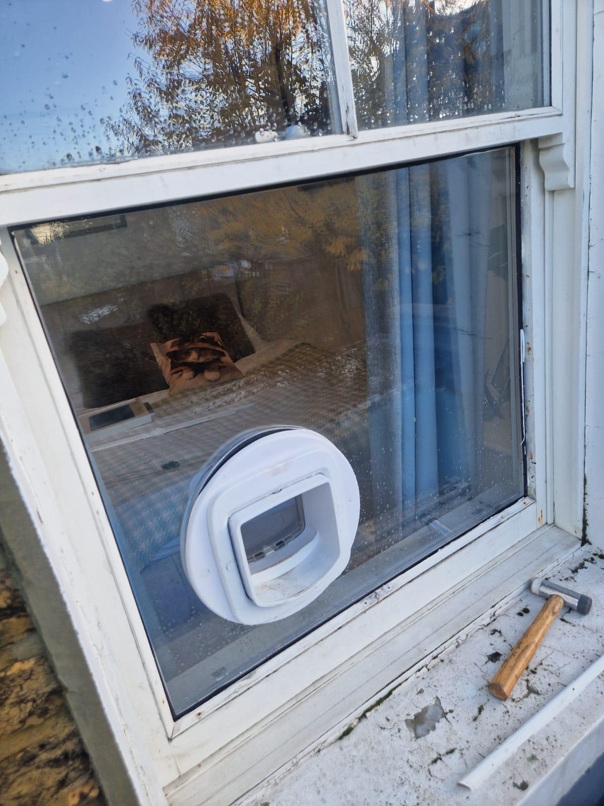 Catflap5