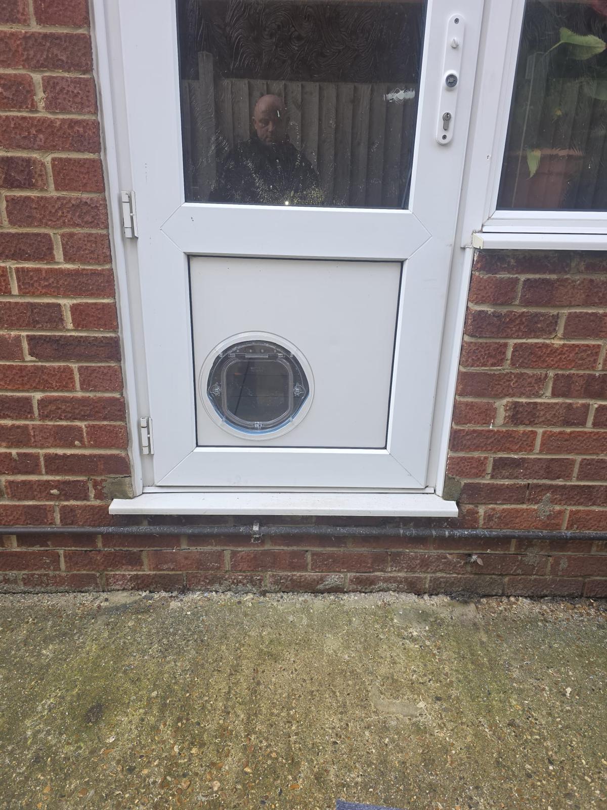 Catflap6