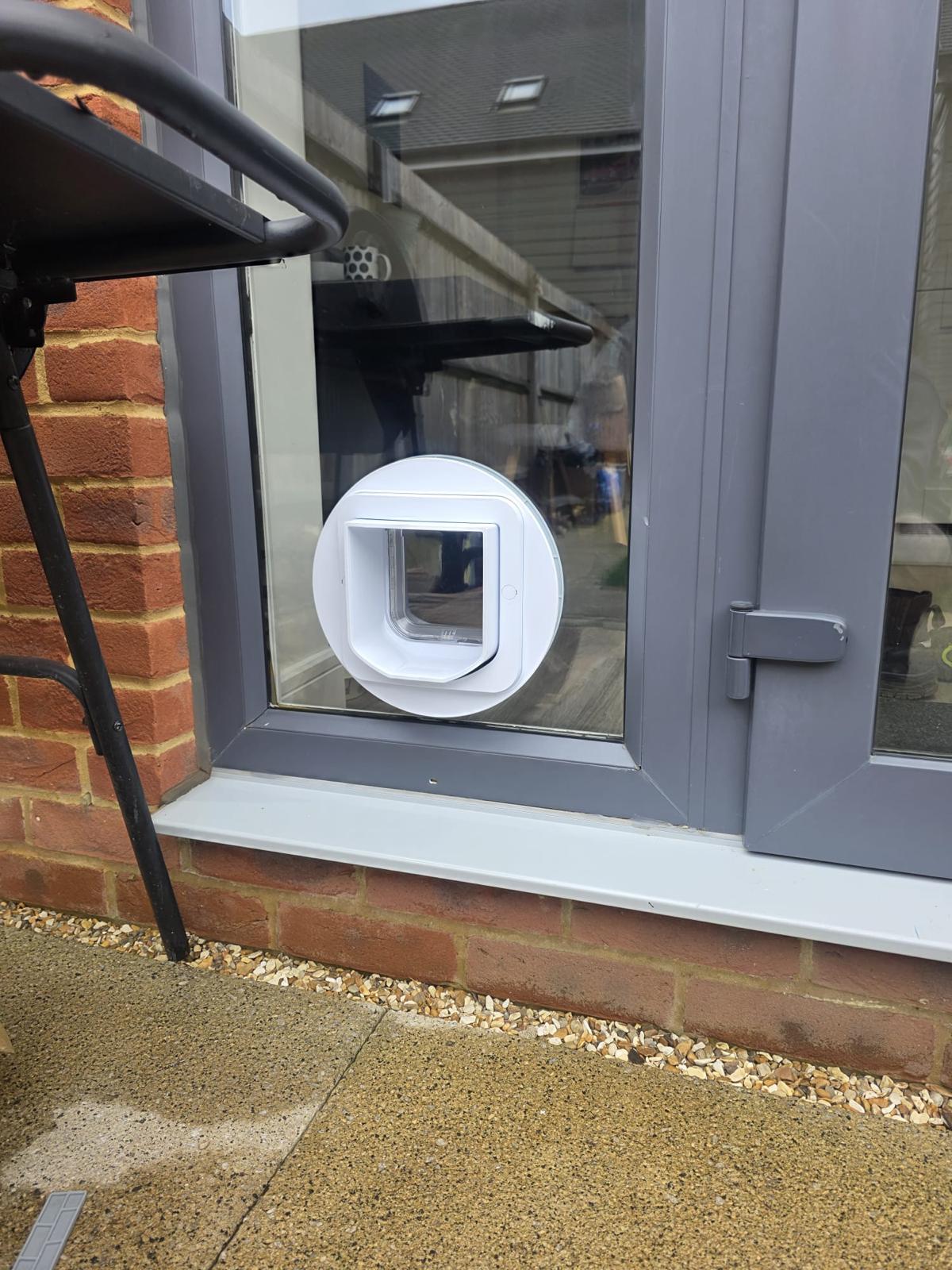 Catflap7