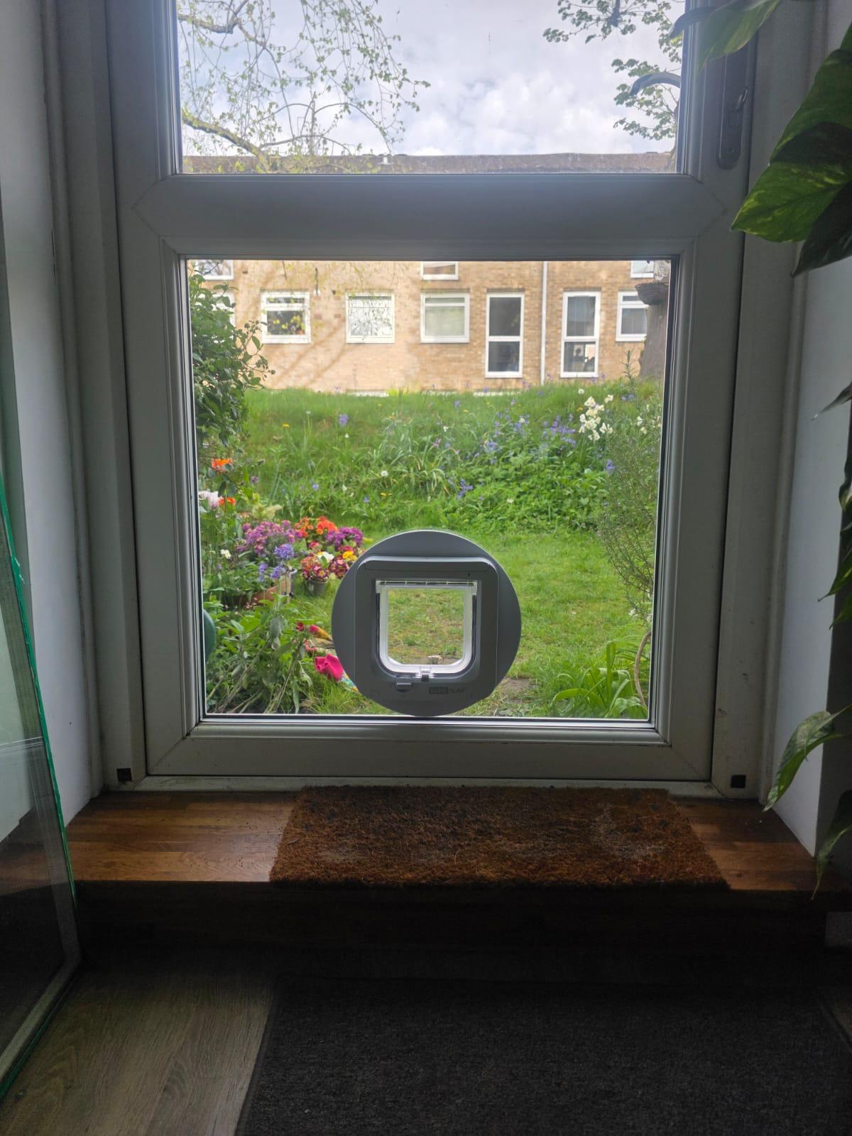 Catflap8
