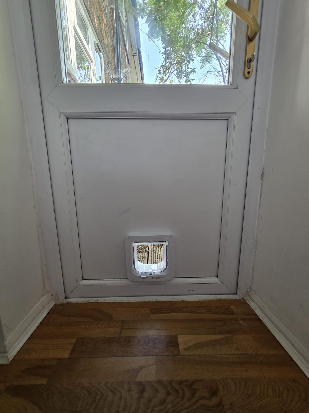 Catflap9